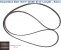 Serpentine Belt