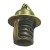 THERMOSTAT (143)