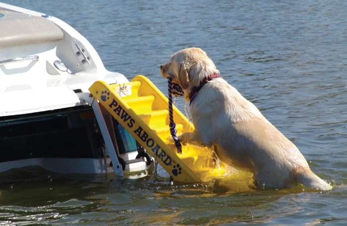 Doggy Ladder, 5' 5200 - Dog Vest - MarineEngine.com