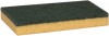 2-IN-1 CELLULOSE SCRUBBER / SPONGE (Star Brite)