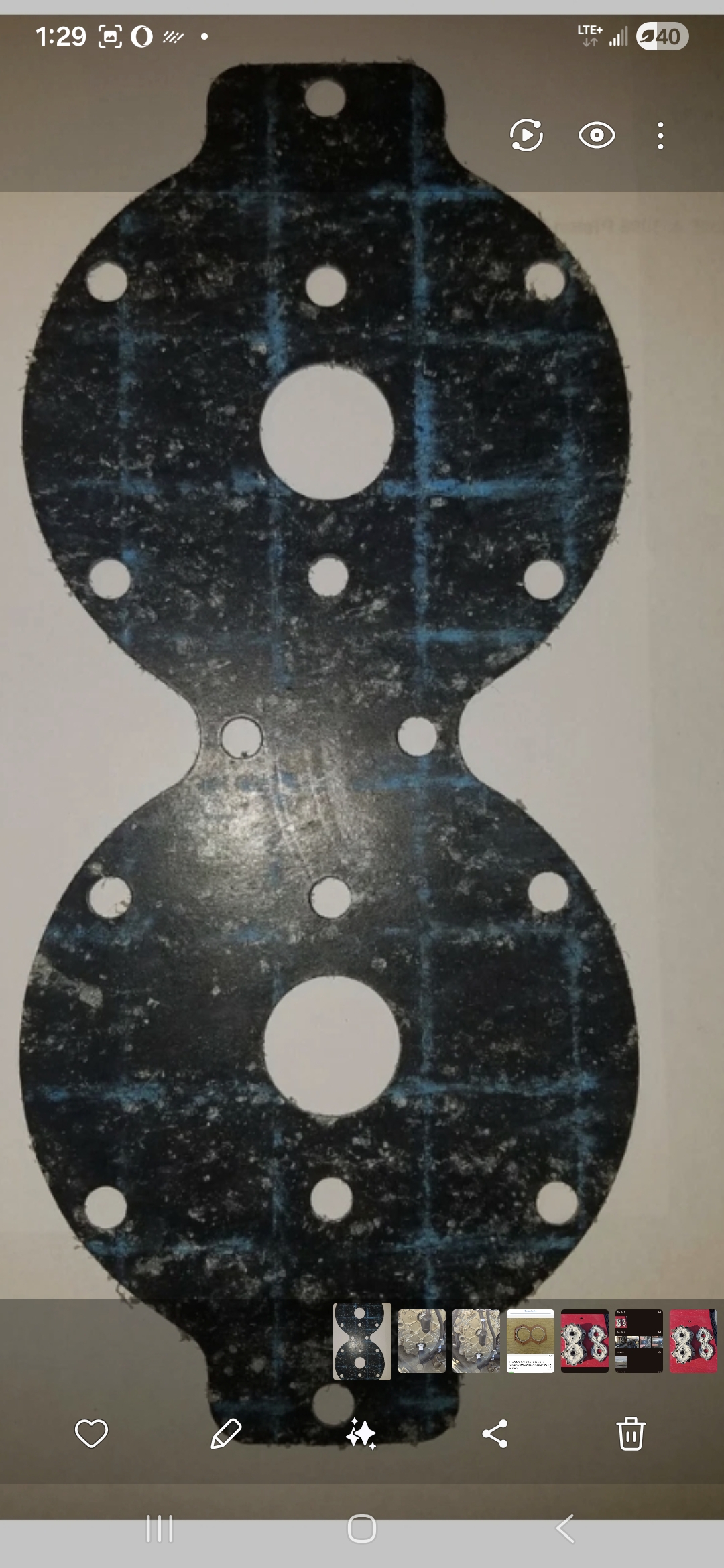 17153.jpg