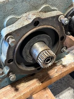 IMG_1062.jpeg