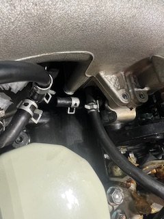 IMG_5241.jpeg