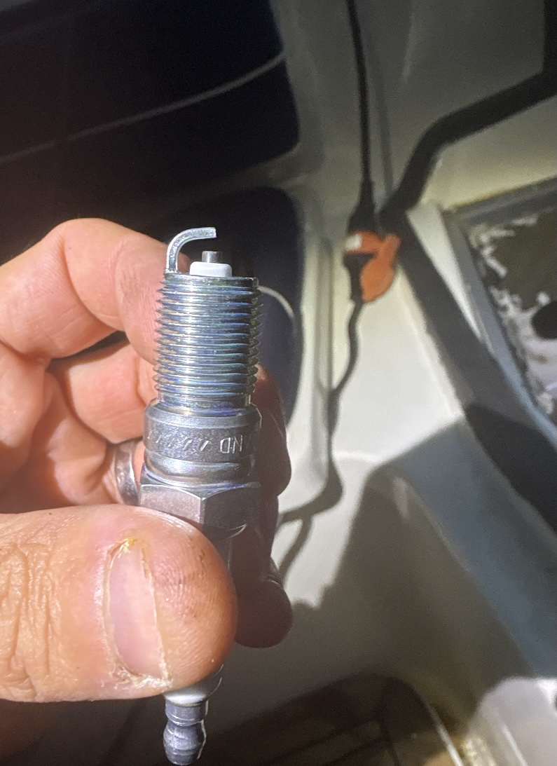 plug.jpg