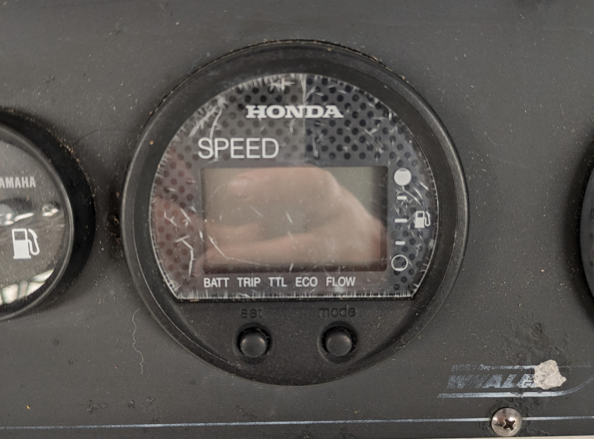 PXL_20240603_104411338.MP.jpg