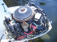 Johnson 115 Outboard 073.jpg