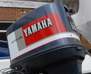 yam175.jpg