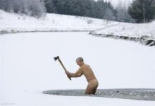 t_norwegian_913.jpg t_norwegian_913.jpg