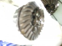 new pics 014.jpg