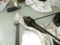 new pics 010.jpg