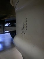 Lower endL.jpg