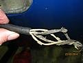image_207303.jpg image_207303.jpg