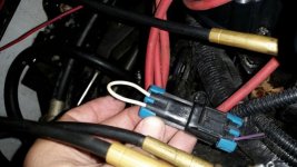 resized plug.jpg resized plug.jpg