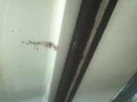 IMG_20110915_083812.jpg