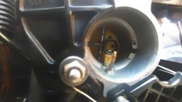 IMAG0881.jpg