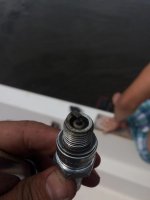 sparkplug3.jpg