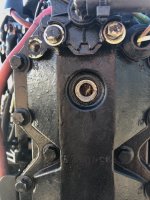 IMG_5980.jpeg