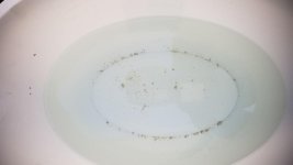 20180720_165344.jpg 20180720_165344.jpg
