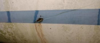 thumbnail (8).jpg