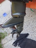 20180804_164939-1512x2016.jpg