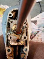 Oilseals.jpg