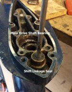 Honda BF75 Lower Unit1.jpg