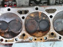 gasket.jpg