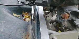 20170605_163303.jpg