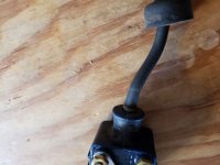 20201005_160008.jpg