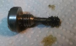 Drain Plug.jpg Drain Plug.jpg