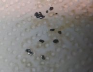 Metal shards.jpg Metal shards.jpg