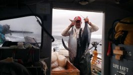 albacore 44.jpg albacore 44.jpg