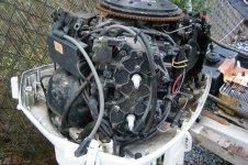 Bubble back example.jpg Bubble back example.jpg