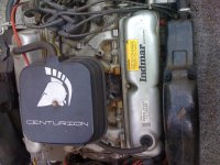 IMG_0522[1].jpg