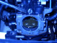060.JPG