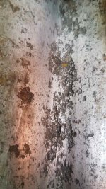 20190603_115941_1.jpg