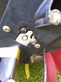 IMG_20190613_190126237.jpg