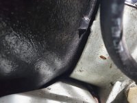 20200514-135123.jpg 20200514-135123.jpg