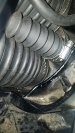20210218_170717.jpg 20210218_170717.jpg