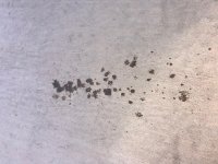 Oil_Leak1.jpg