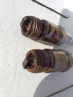 Roberta Plugs 2 and 4 .jpg Roberta Plugs 2 and 4 .jpg