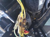 stator_wires.jpg