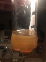 3B875E1D-2A9F-461B-802C-1B66F6AEAB0A.jpg