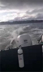 1 Yeah Buoy.jpg