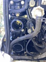 IMG_0442.jpeg