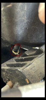 IMG_9426.jpeg