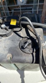 IMG_6715.jpeg