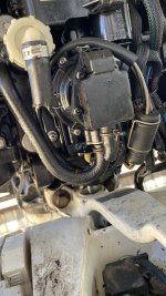 IMG_6714.jpeg