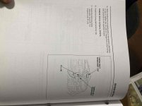 IMG_2534.jpeg
