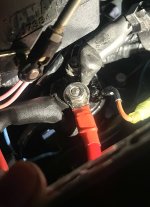 IMG_0030.jpeg